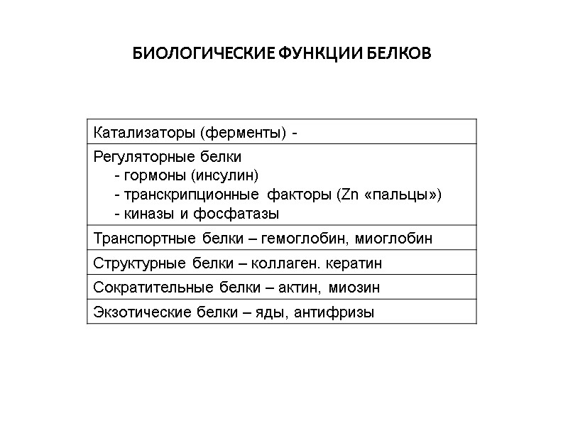 БИОЛОГИЧЕСКИЕ ФУНКЦИИ БЕЛКОВ
